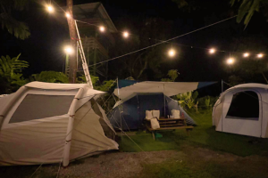 2D Camping at Rainforest Lodge