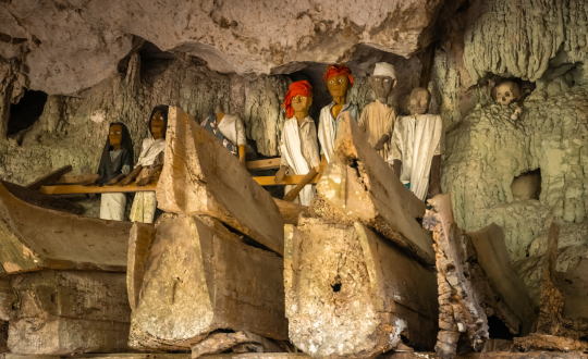 23 Days Sulawesi Overland