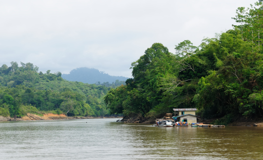 12 Days Mahakam River Cruise and Meet the Orangutan