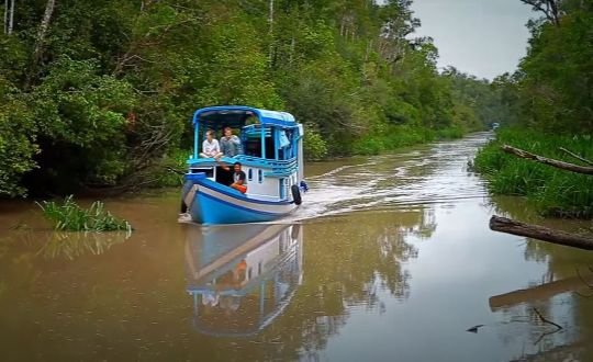 7 Days Palangkaraya Boat Trip and Banjarmasin Wildlife Adventure