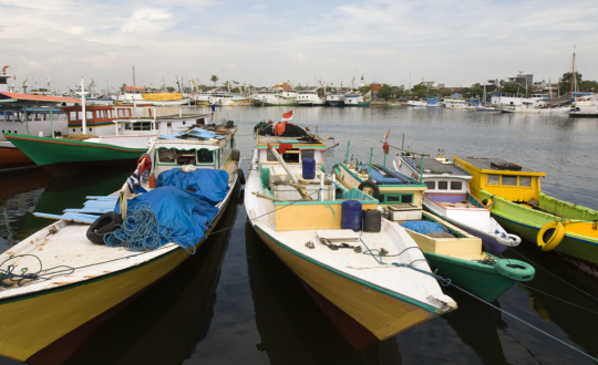 6 Days South Sulawesi