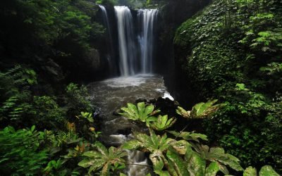 Waterfall-Bali.jpg