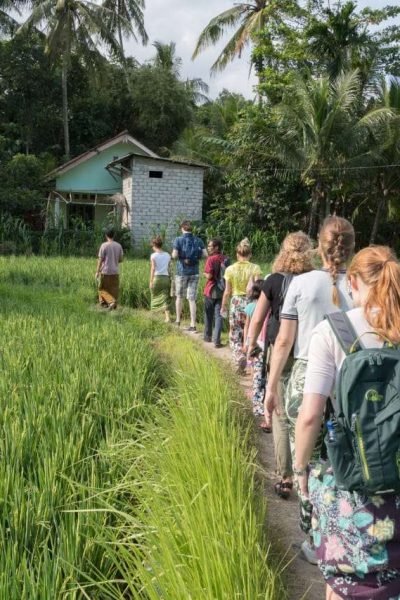 a Day in the life Bonjeruk