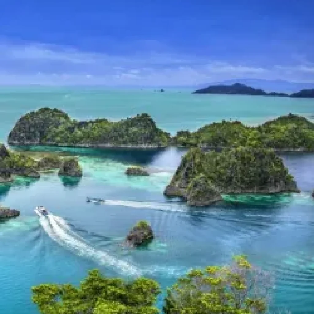 cooverraja-amapat-papua