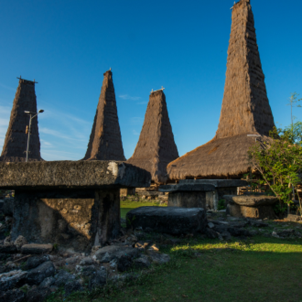 west sumba cover tour